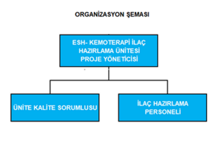 organizasyonsemasi